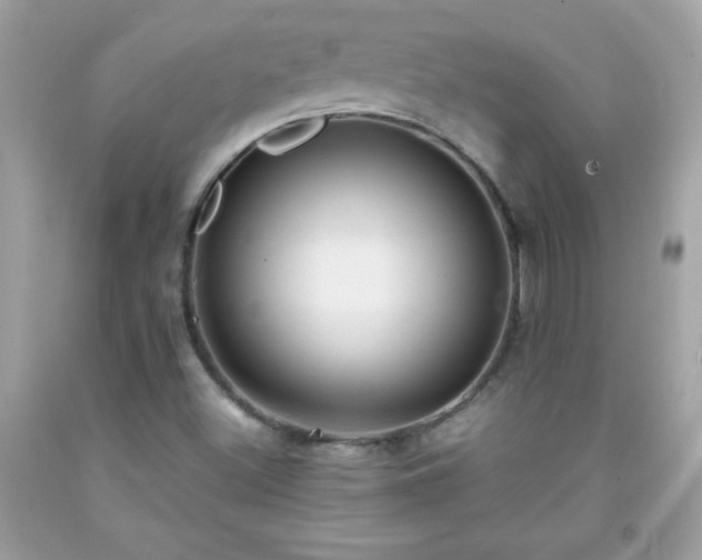 X0000091921500200709121528