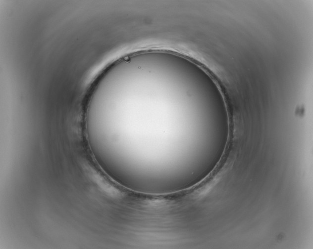 X0000091921502200709121528