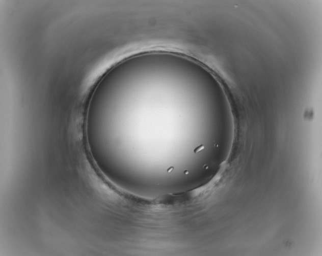 X0000091921504200709121528