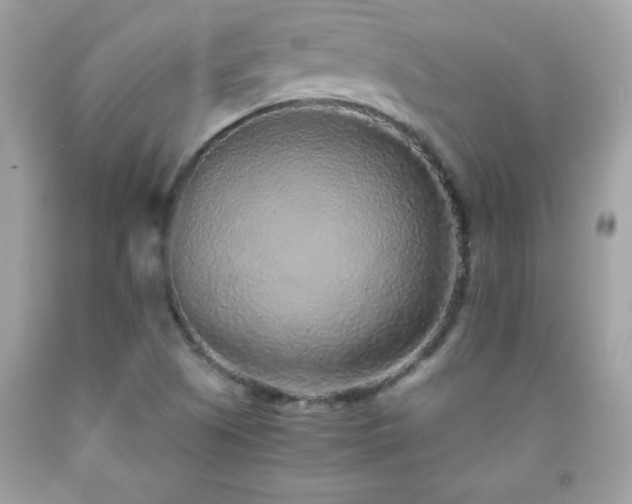X0000091921505200709121528