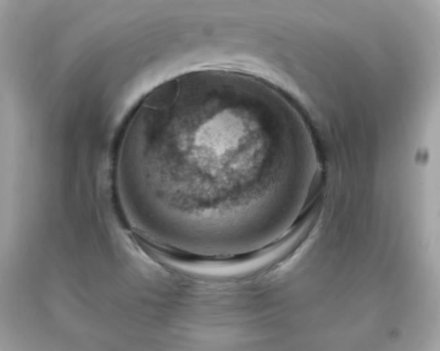 X0000091921506200709121528