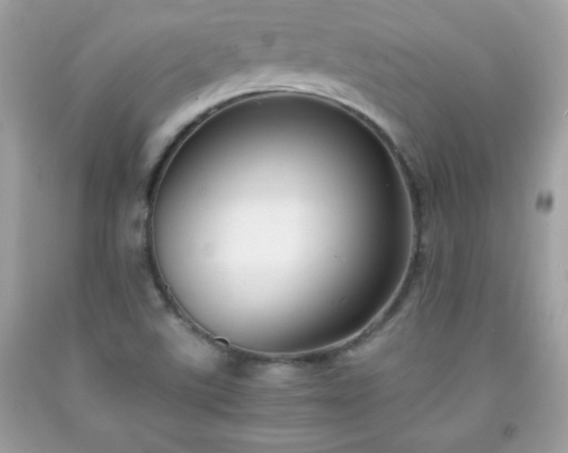 X0000091921507200709121528