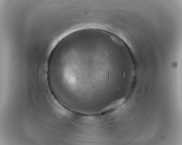 X0000091921508200709121528