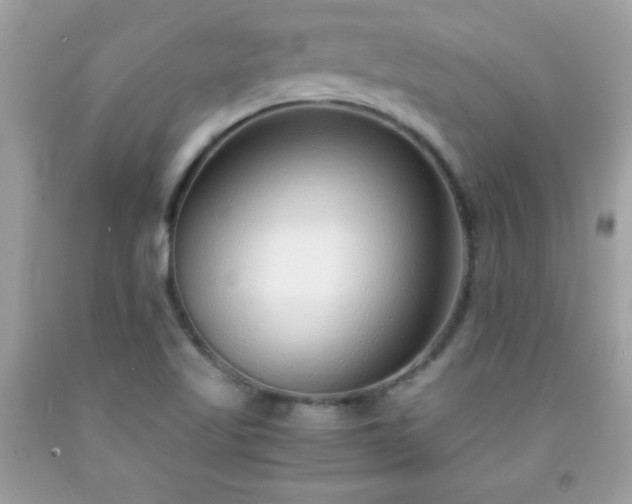 X0000091921509200709121528
