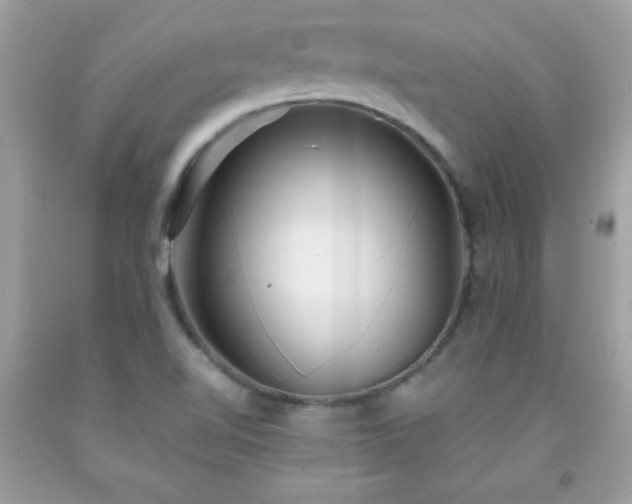 X0000091921510200709121528
