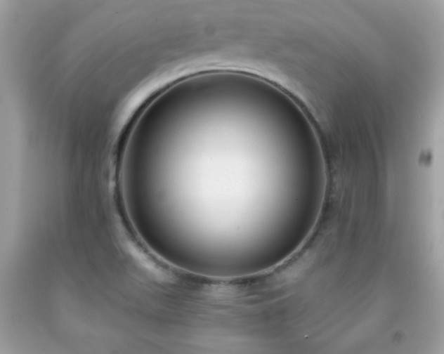 X0000091921511200709121528