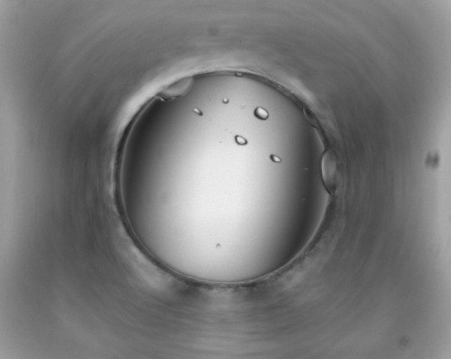 X0000091921512200709121528