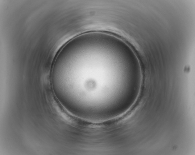 X0000091921513200709121528