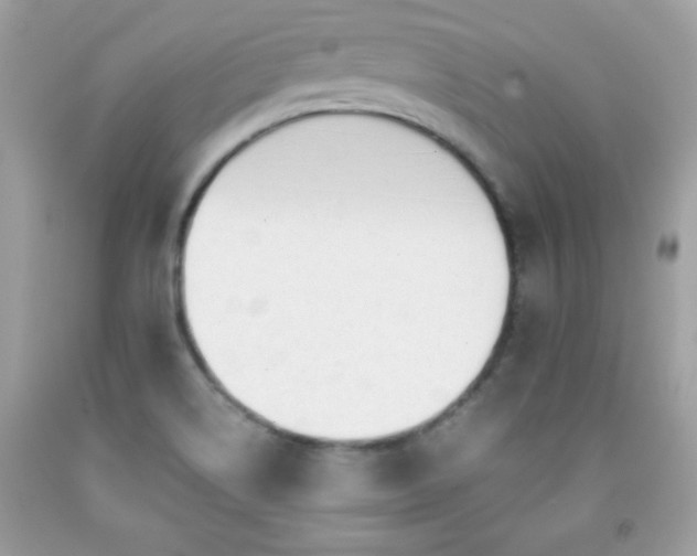 X0000091921514200709121528