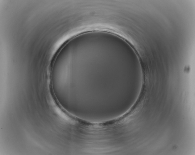 X0000091921515200709121528