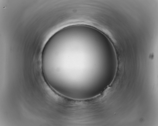 X0000091921516200709121528