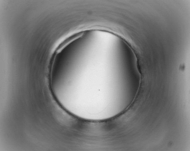 X0000091921518200709121528
