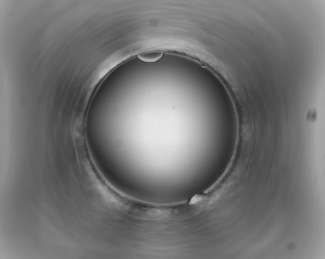 X0000091921521200709121528