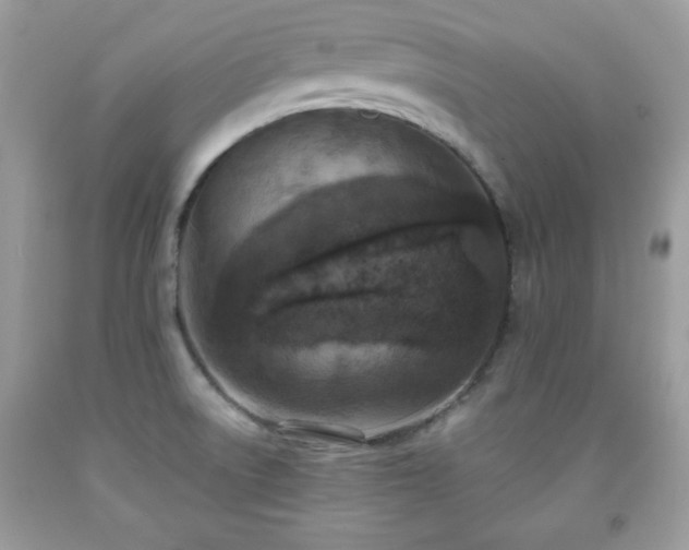 X0000091921522200709121528