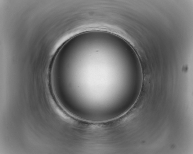 X0000091921523200709121528
