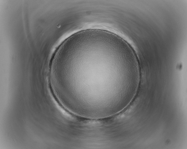 X0000091921525200709121528