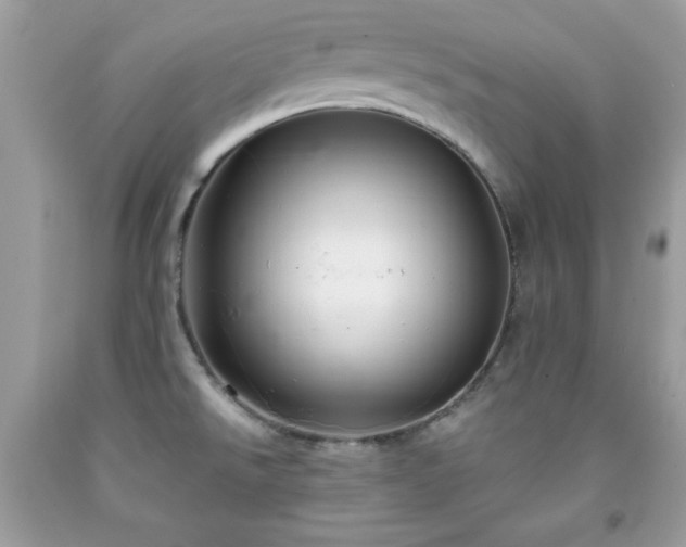 X0000091921526200709121528
