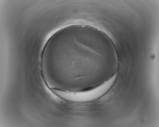 X0000091921527200709121528