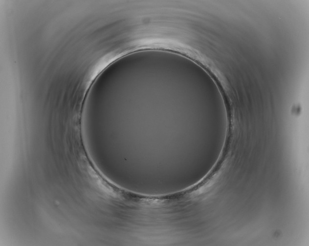 X0000091921529200709121528