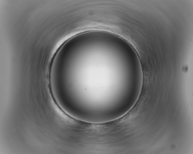 X0000091921531200709121528