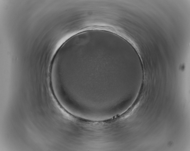X0000091921533200709121528