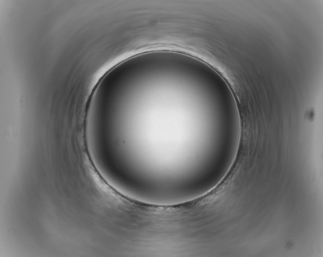 X0000091921534200709121528