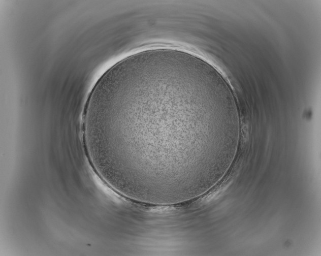 X0000091921535200709121528