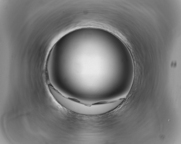 X0000091921536200709121528
