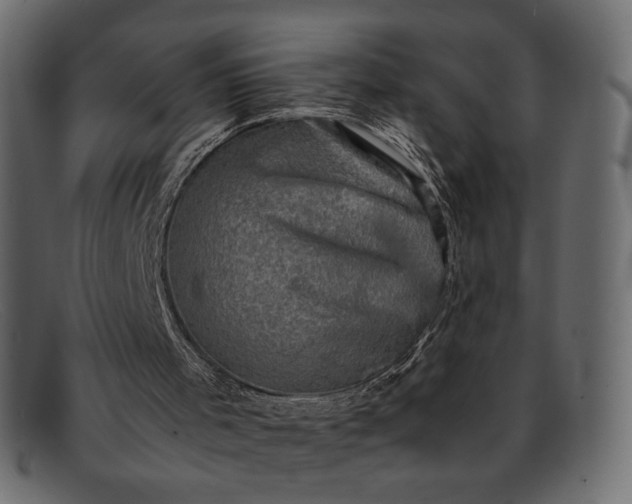 X0000091920001200709191349