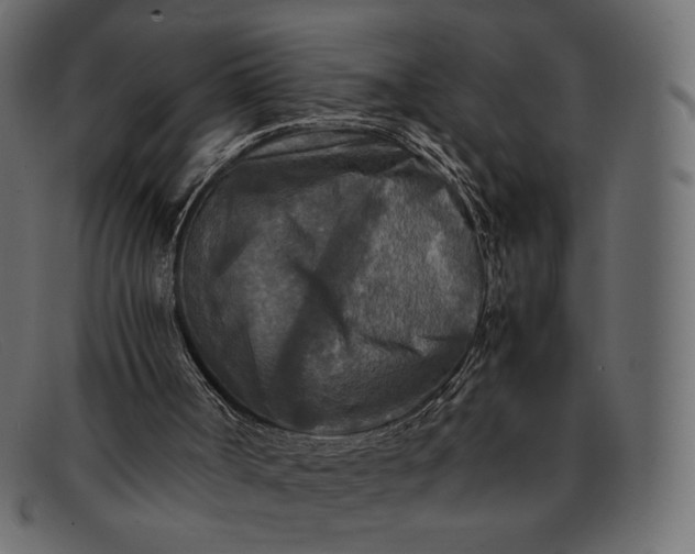 X0000091920002200709191349