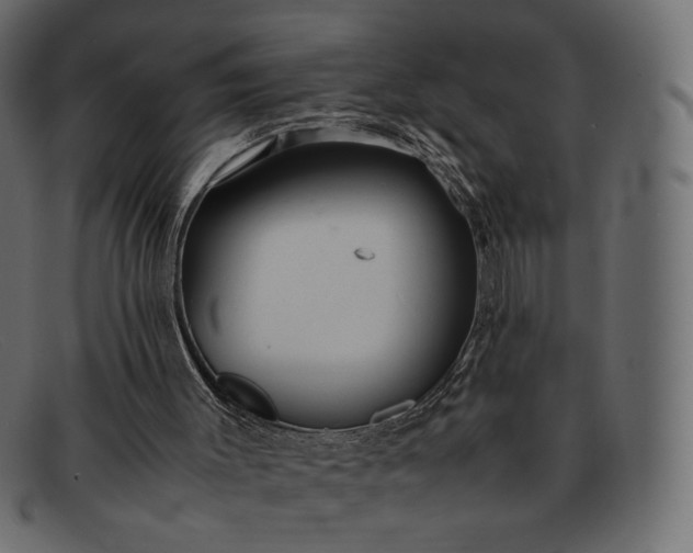 X0000091920003200709191349