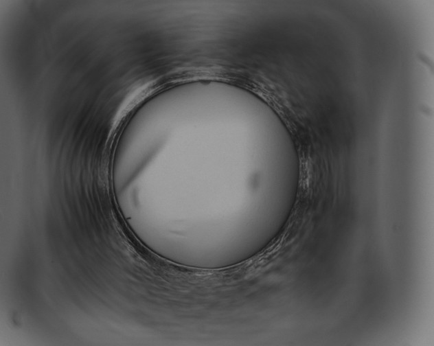 X0000091920004200709191349