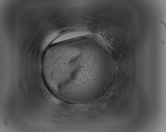 X0000091920005200709191349