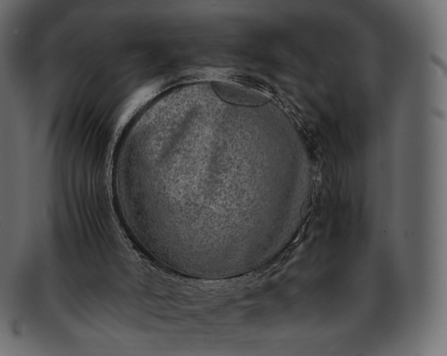 X0000091920006200709191349