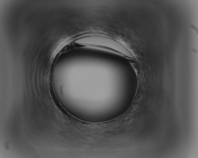 X0000091920007200709191349