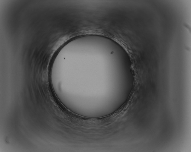 X0000091920008200709191349