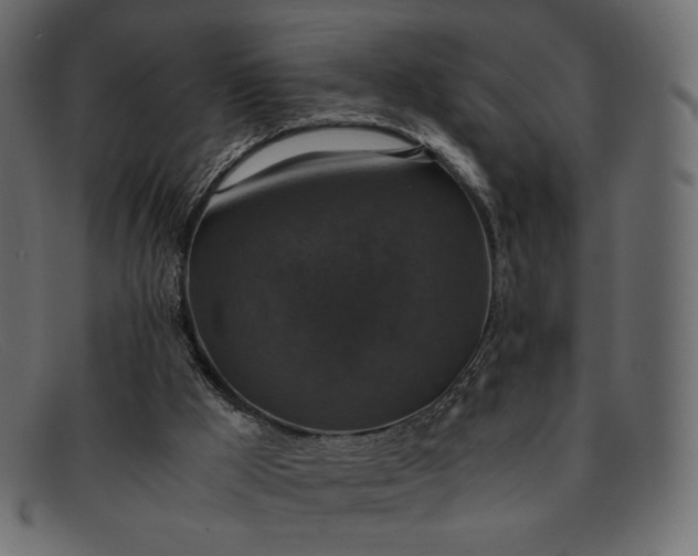 X0000091920009200709191349