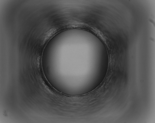 X0000091920010200709191349