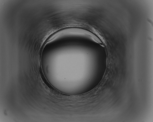 X0000091920011200709191349