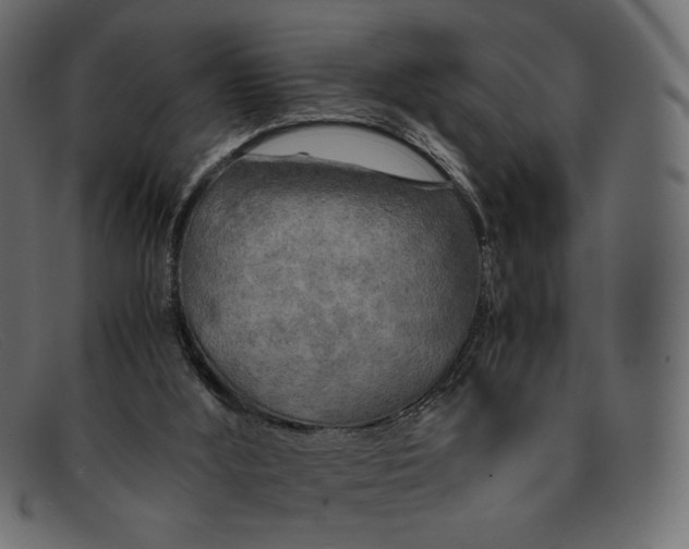 X0000091920012200709191349