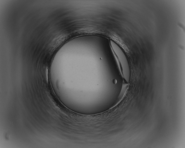 X0000091920014200709191349