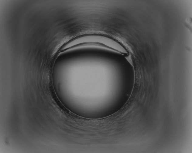 X0000091920015200709191349