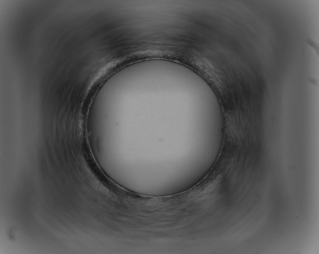 X0000091920016200709191349