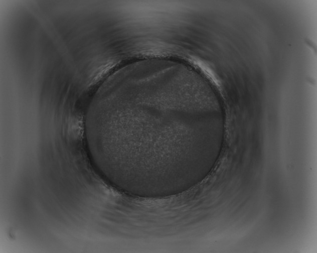 X0000091920017200709191349