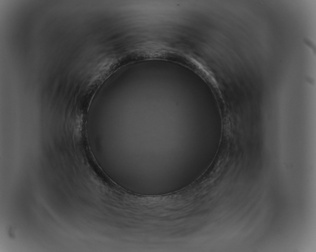 X0000091920018200709191349