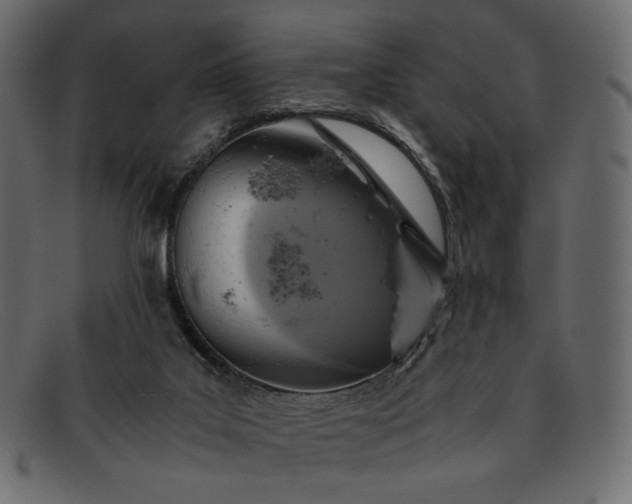 X0000091920019200709191349