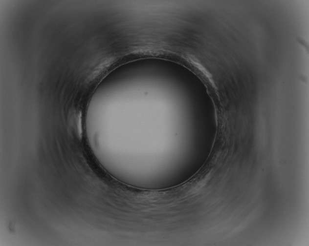 X0000091920020200709191349