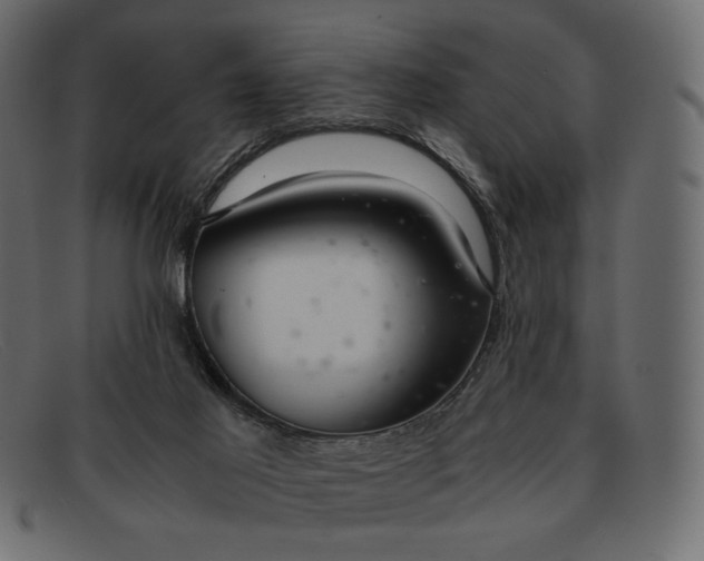 X0000091920021200709191349