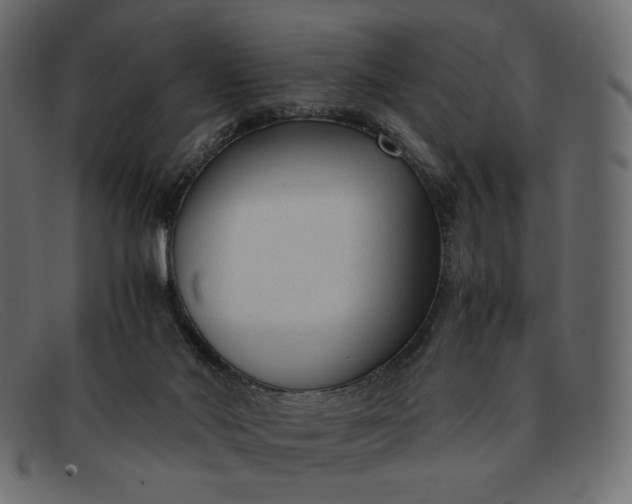 X0000091920022200709191349