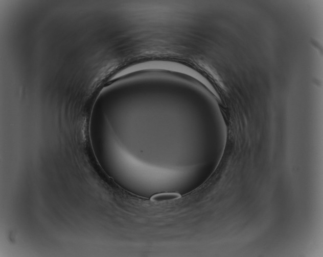 X0000091920023200709191349